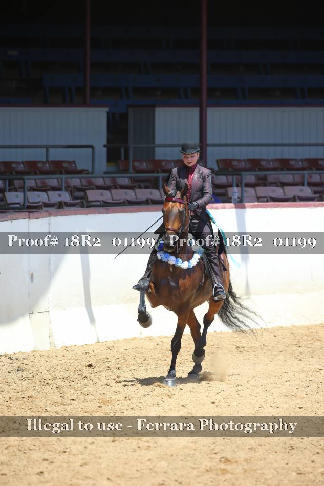 Proof 18R2_01199