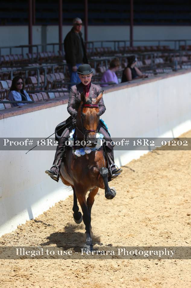 Proof 18R2_01202