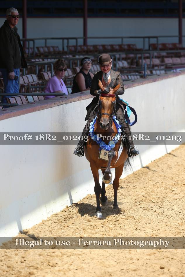 Proof 18R2_01203