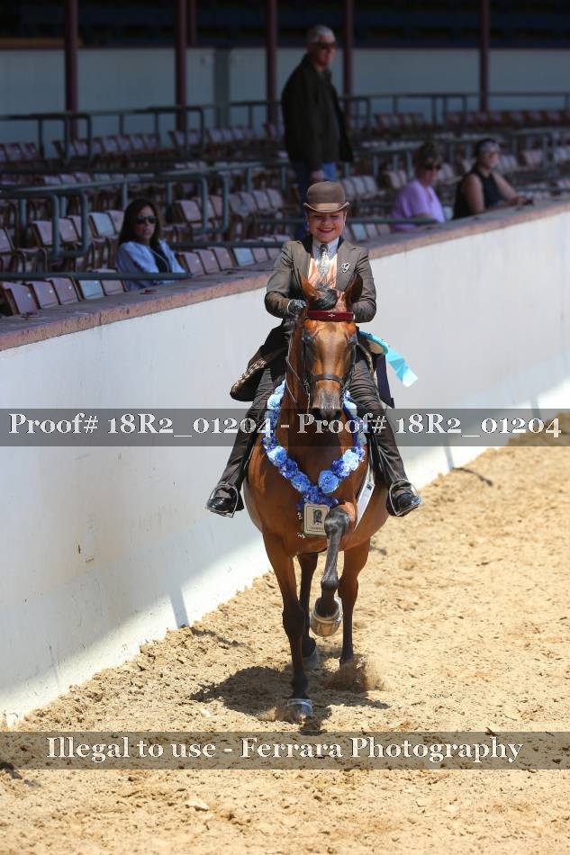 Proof 18R2_01204