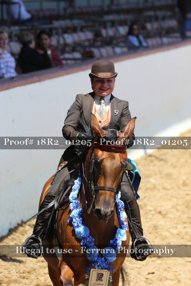 Proof 18R2_01205