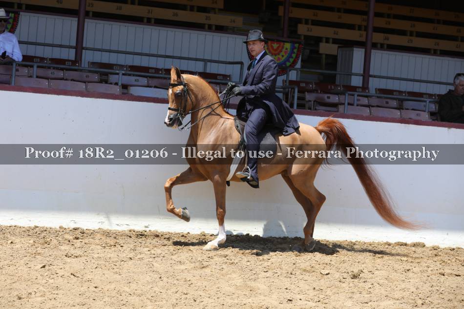 Proof 18R2_01206