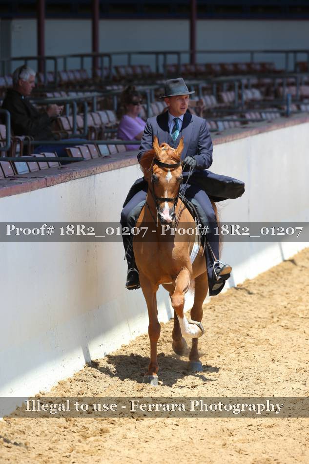 Proof 18R2_01207