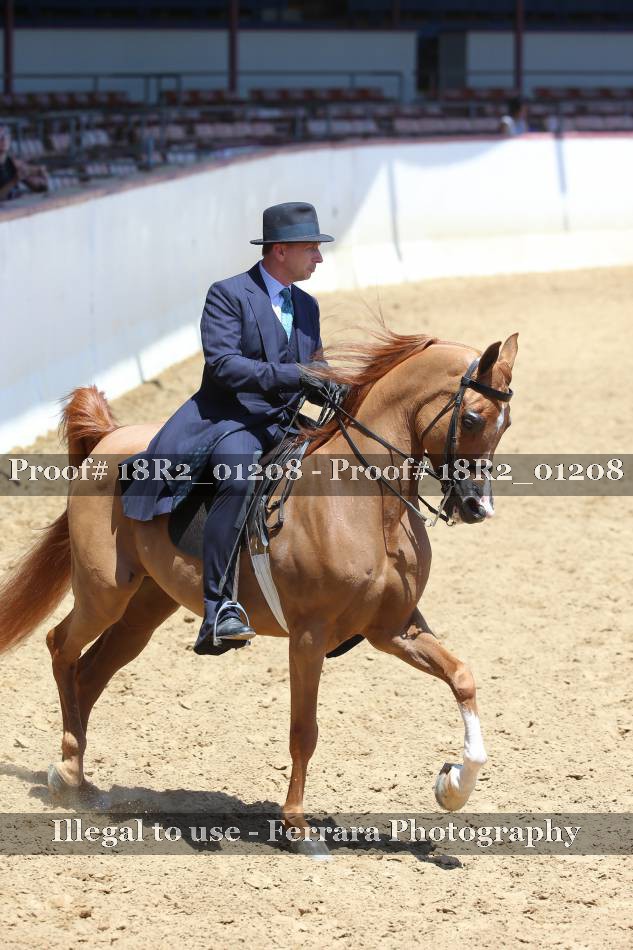 Proof 18R2_01208