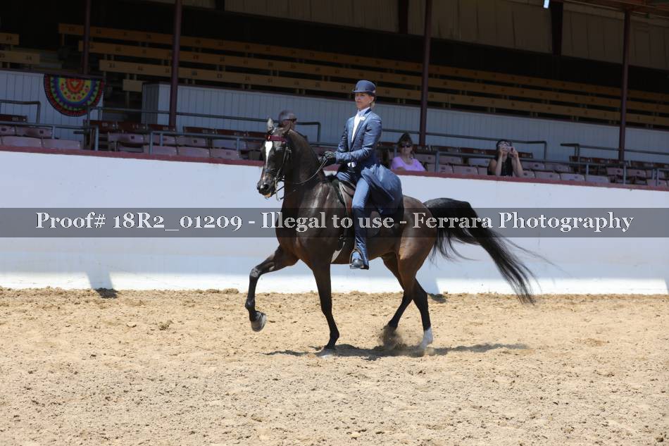 Proof 18R2_01209