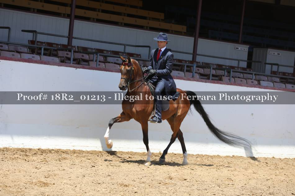 Proof 18R2_01213