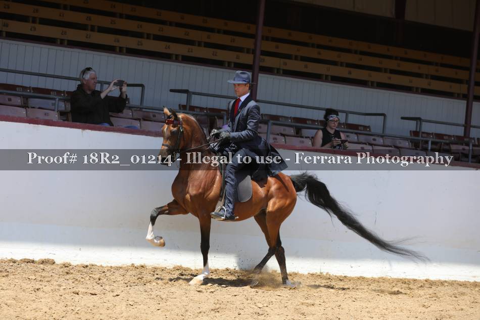 Proof 18R2_01214