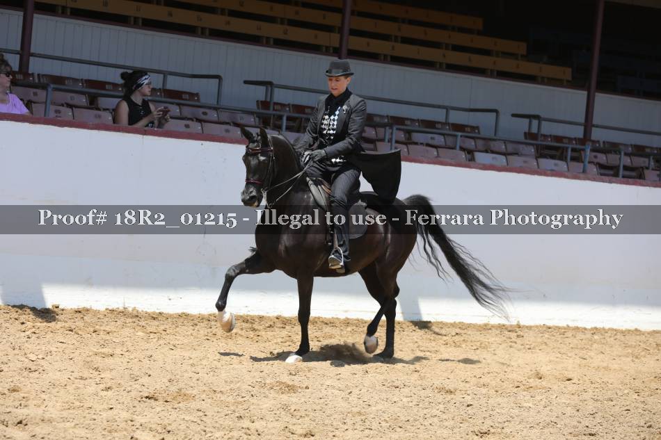 Proof 18R2_01215