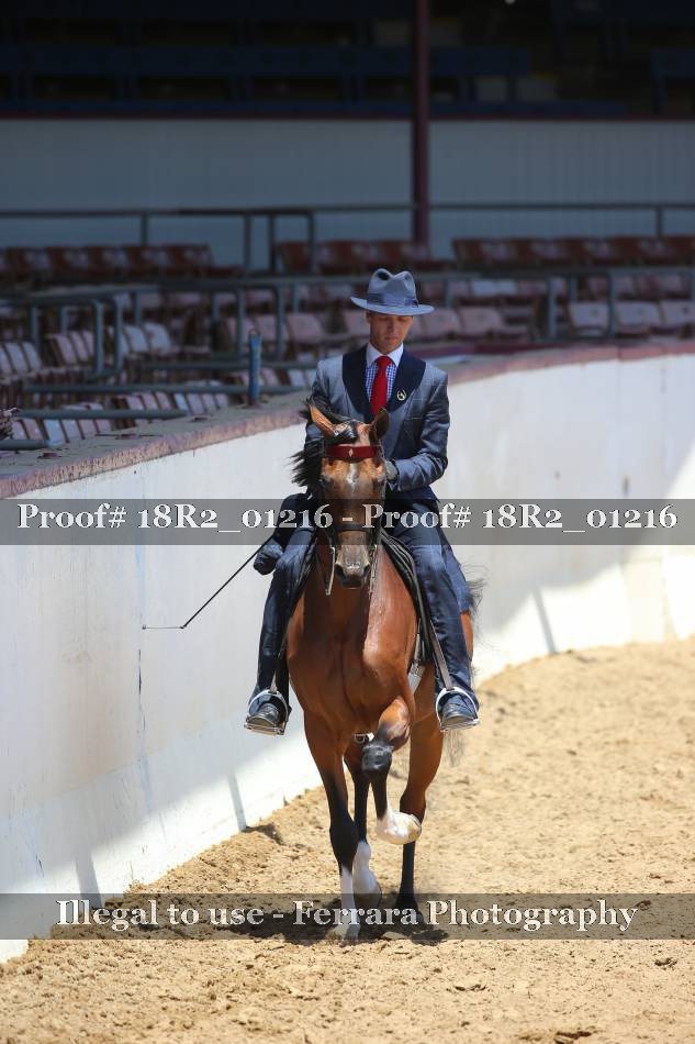 Proof 18R2_01216