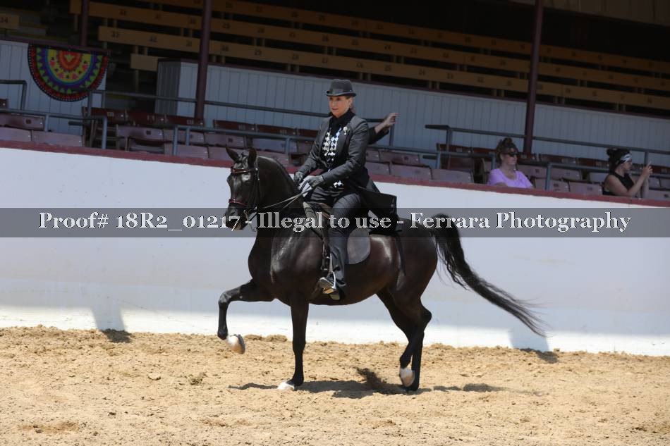 Proof 18R2_01217