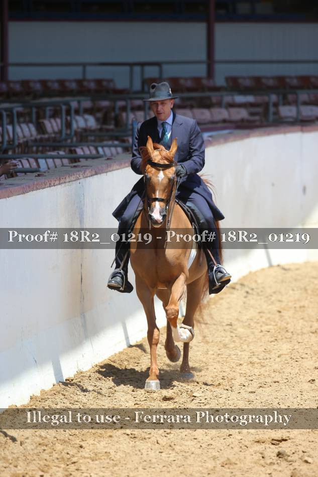 Proof 18R2_01219