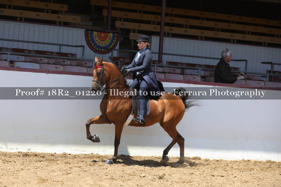 Proof 18R2_01220