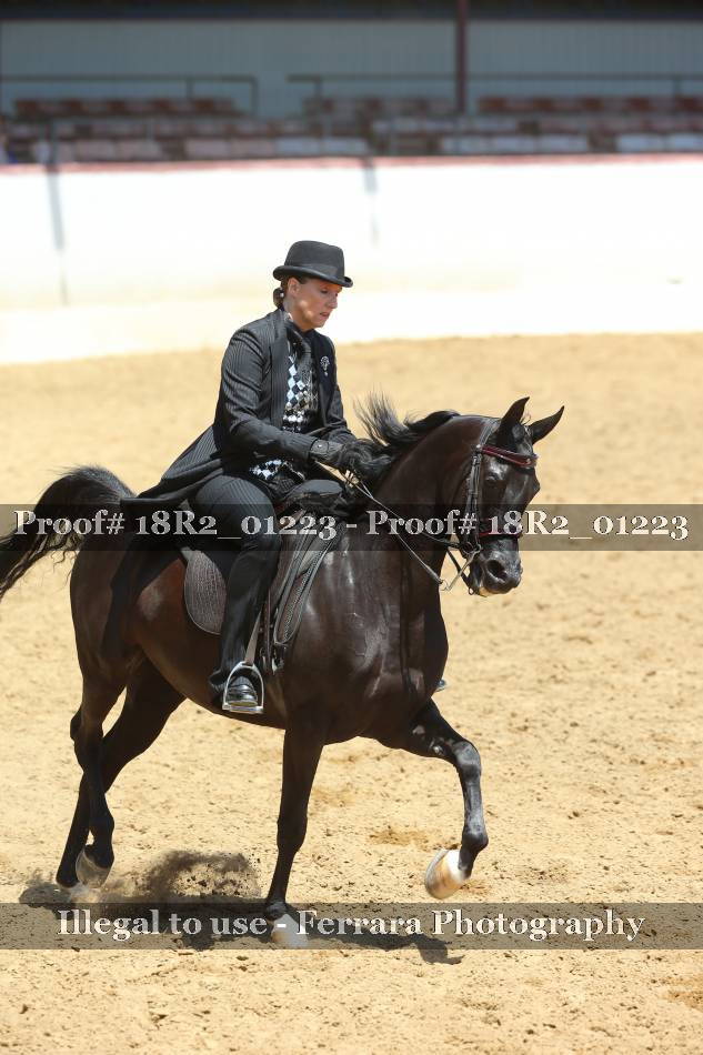 Proof 18R2_01223