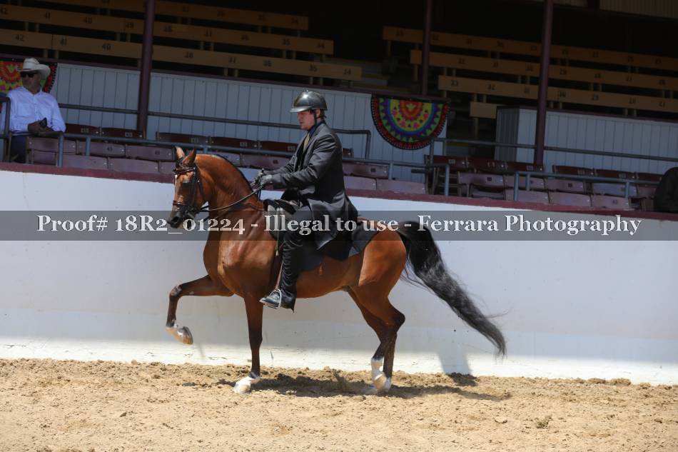Proof 18R2_01224