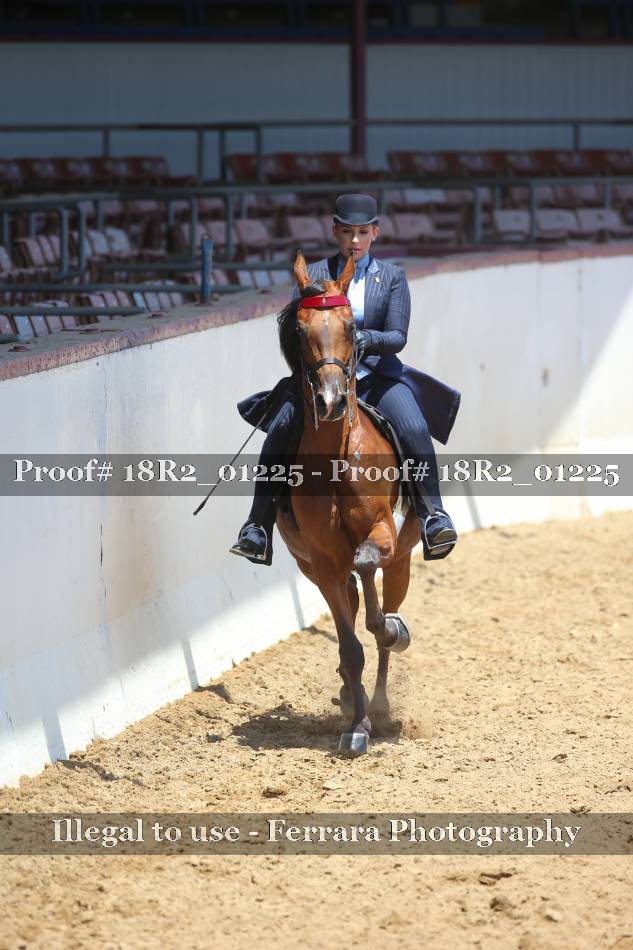 Proof 18R2_01225