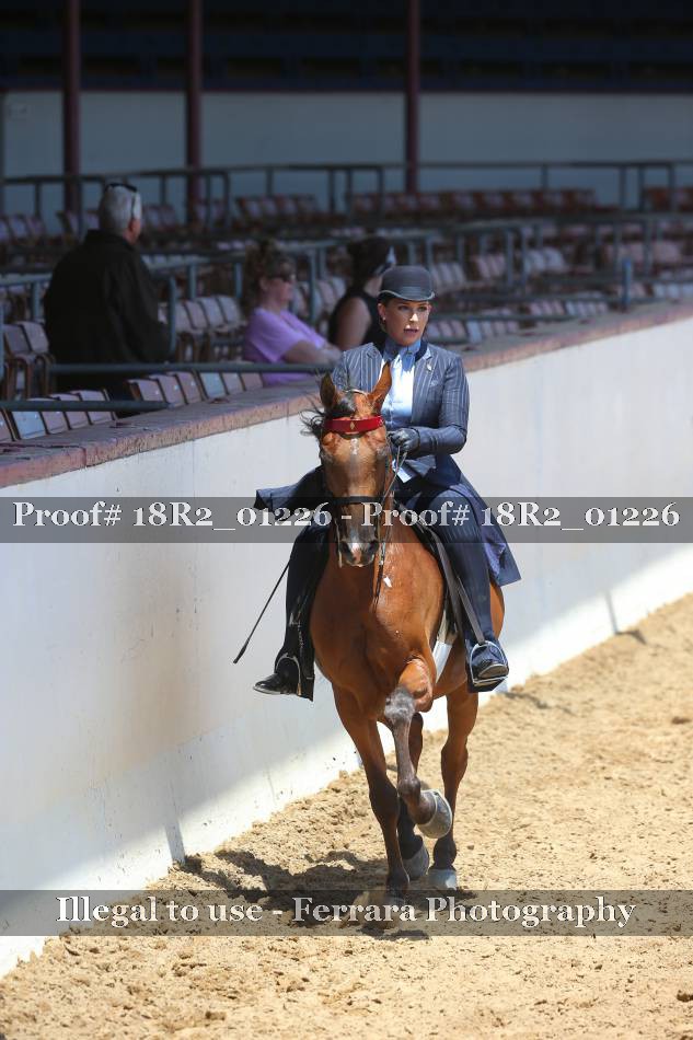 Proof 18R2_01226