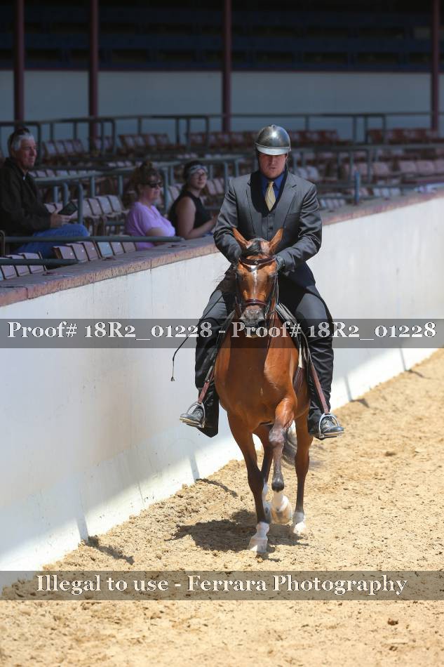 Proof 18R2_01228