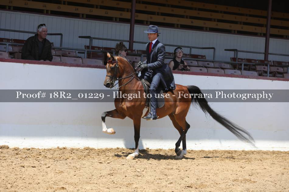 Proof 18R2_01229