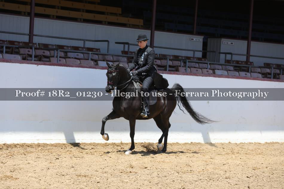 Proof 18R2_01230