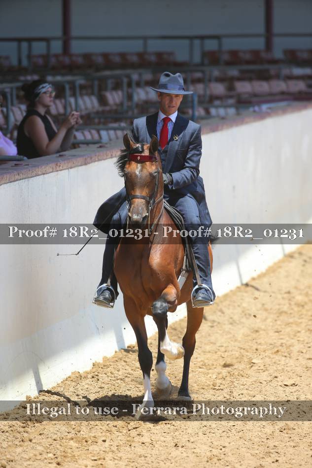 Proof 18R2_01231