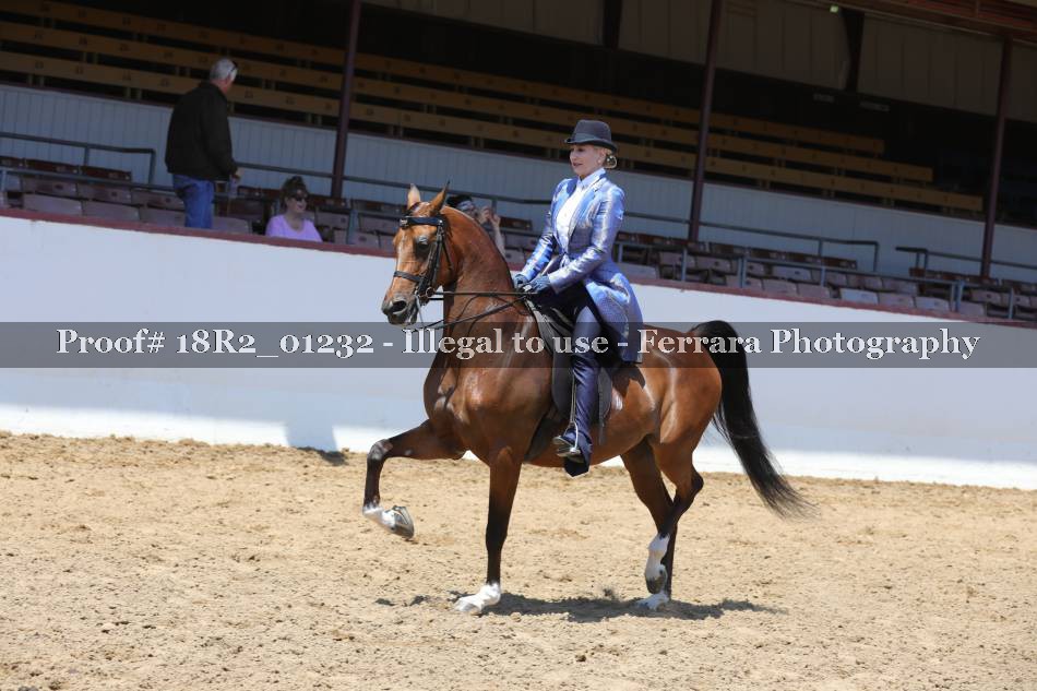 Proof 18R2_01232