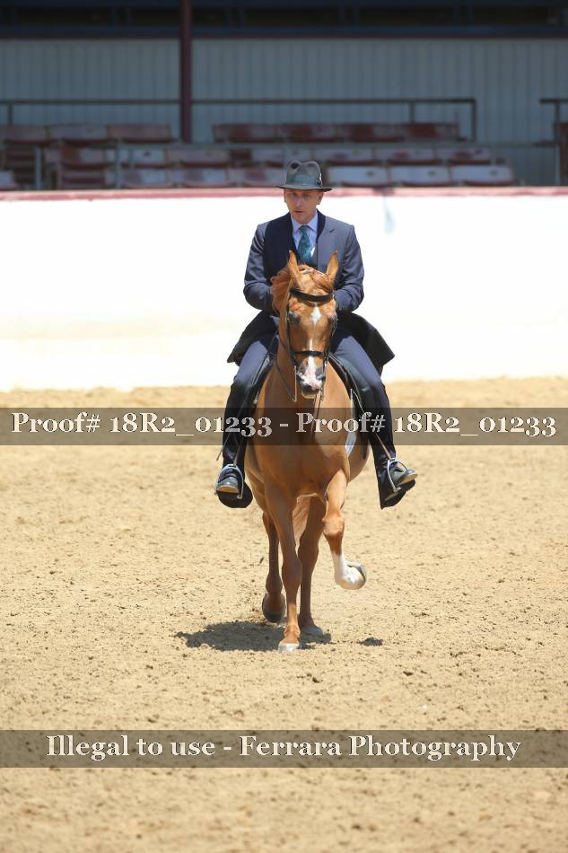 Proof 18R2_01233