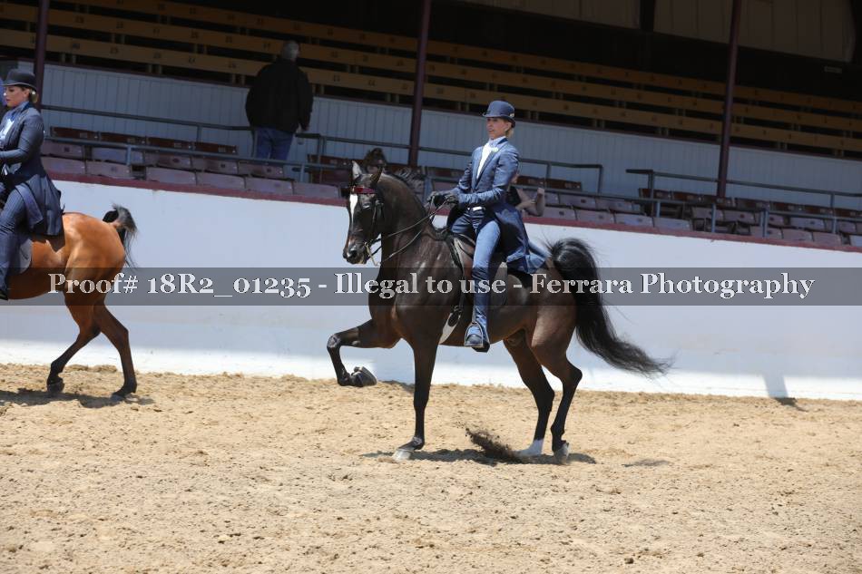 Proof 18R2_01235