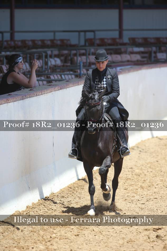 Proof 18R2_01236
