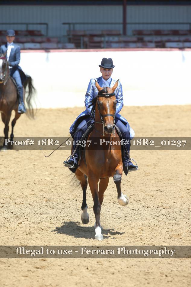Proof 18R2_01237