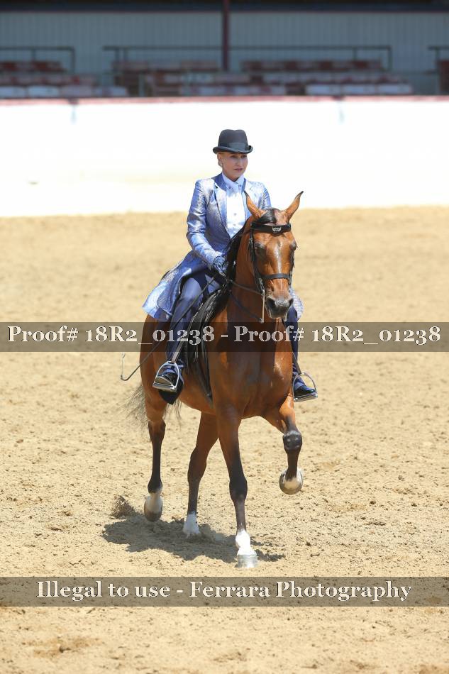 Proof 18R2_01238