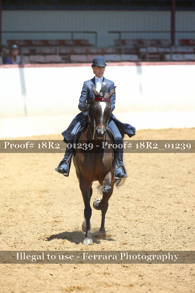Proof 18R2_01239