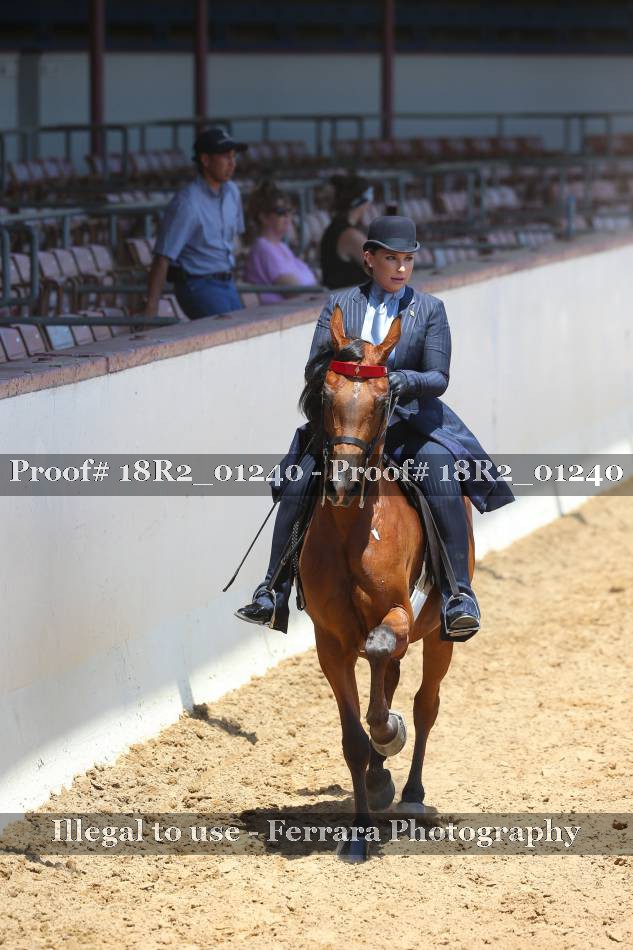 Proof 18R2_01240