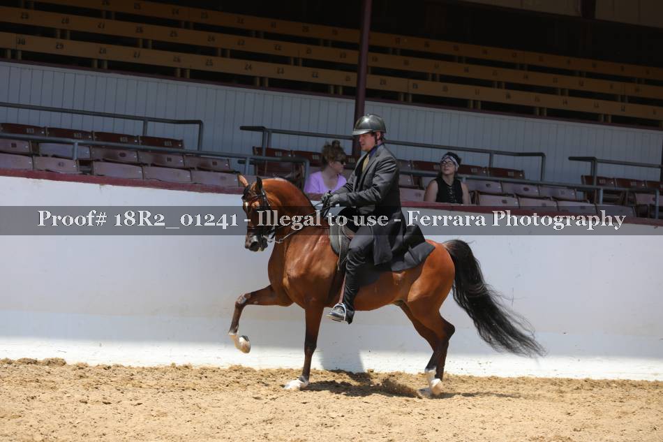 Proof 18R2_01241
