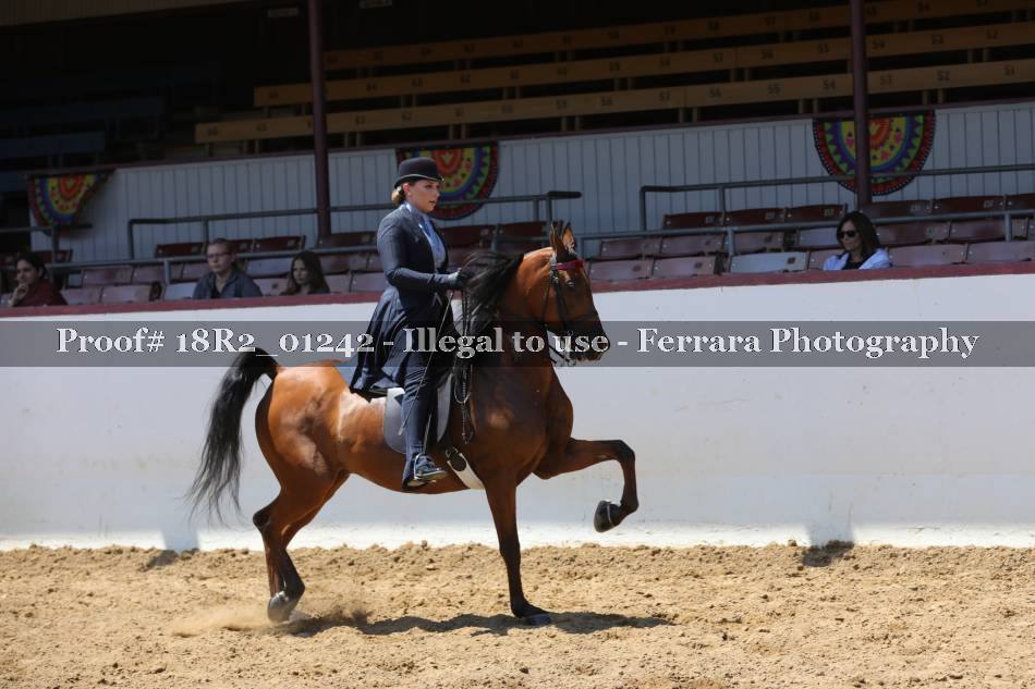 Proof 18R2_01242