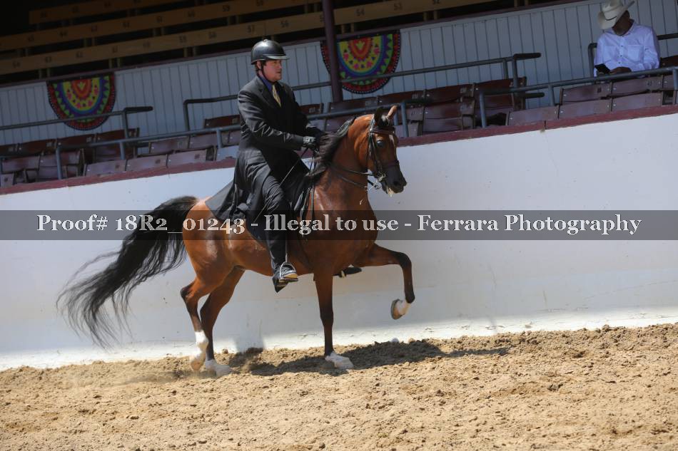 Proof 18R2_01243