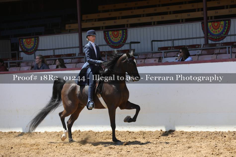 Proof 18R2_01244