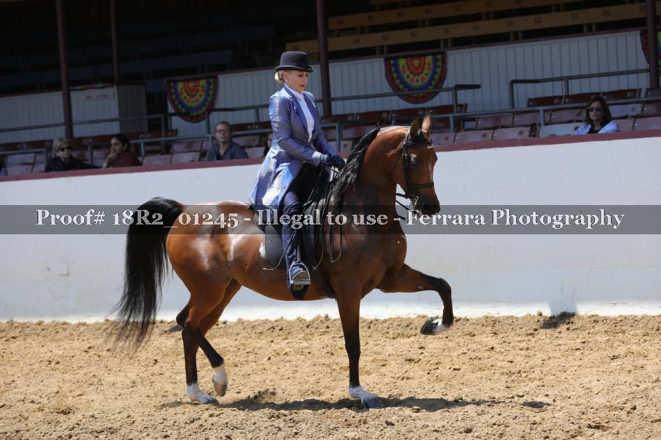 Proof 18R2_01245