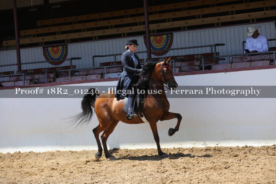 Proof 18R2_01246