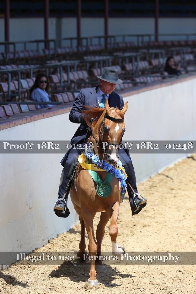 Proof 18R2_01248