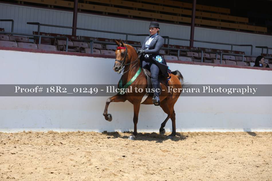 Proof 18R2_01249