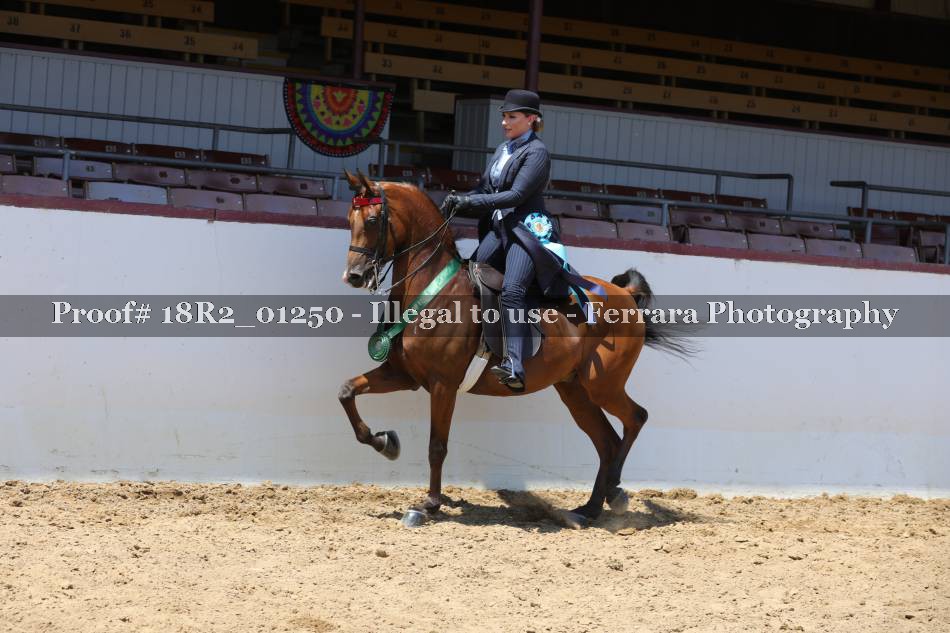 Proof 18R2_01250