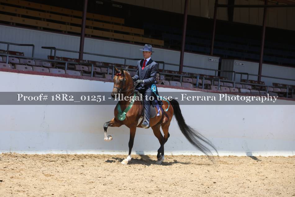 Proof 18R2_01251