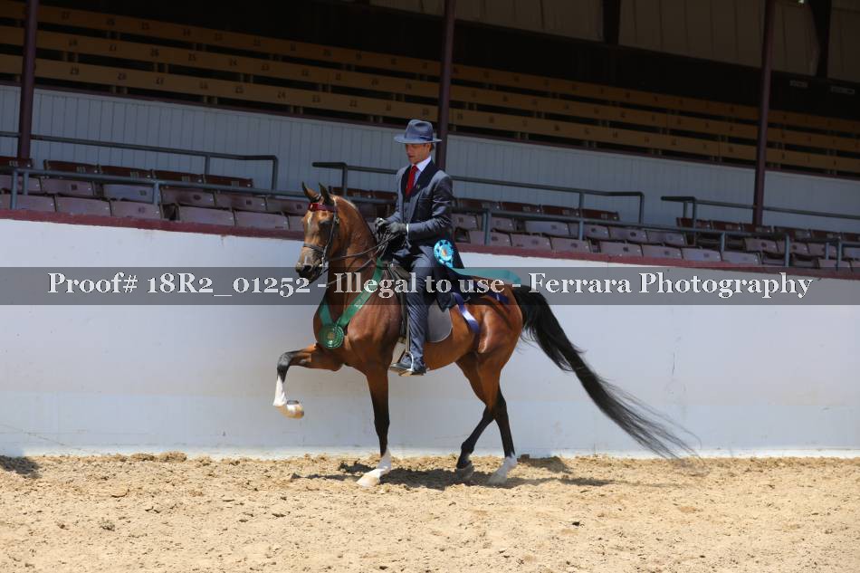 Proof 18R2_01252