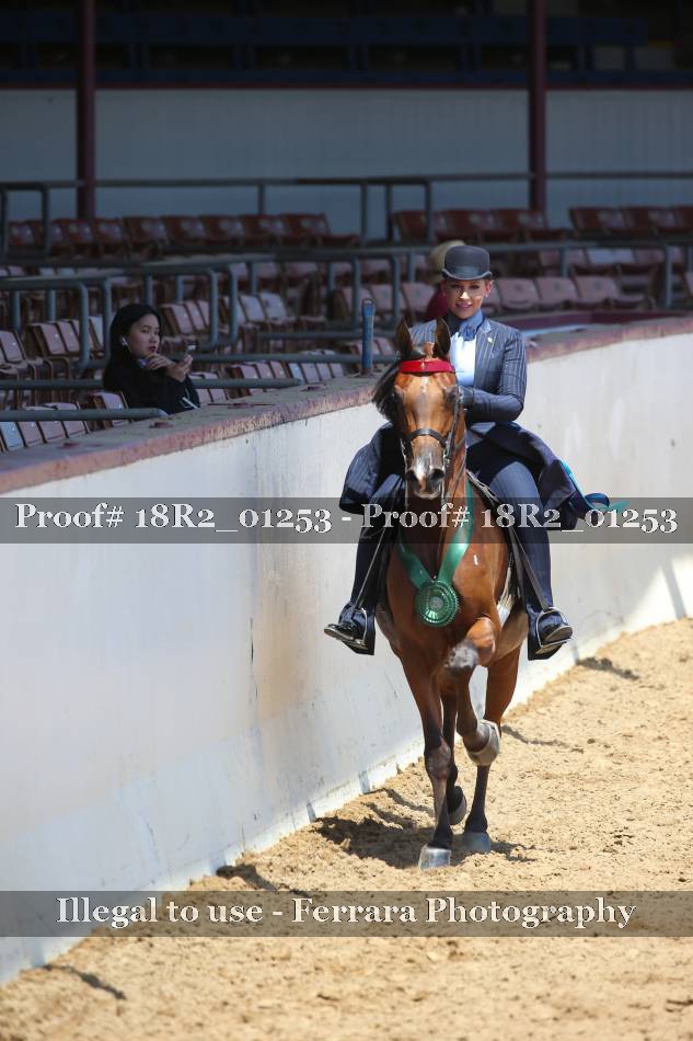 Proof 18R2_01253