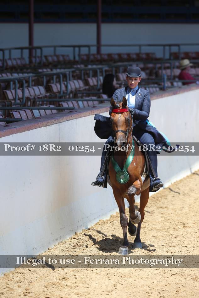 Proof 18R2_01254