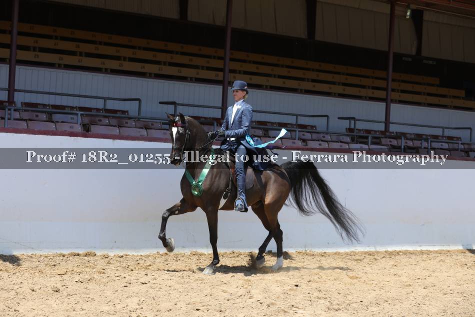 Proof 18R2_01255