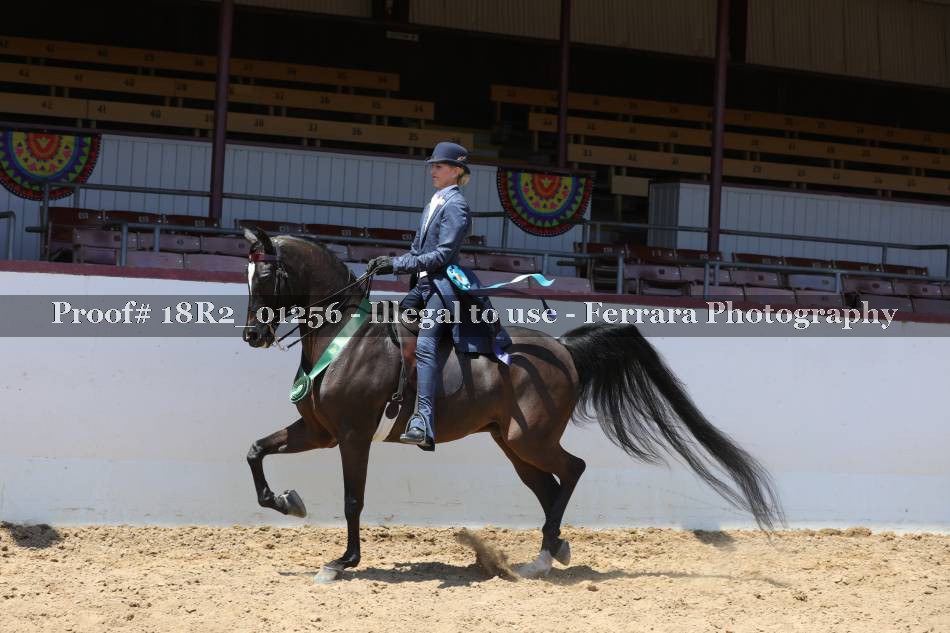 Proof 18R2_01256