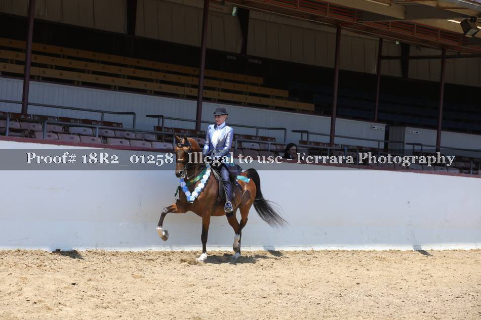 Proof 18R2_01258