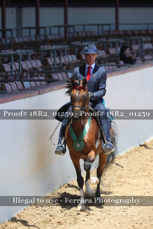 Proof 18R2_01259