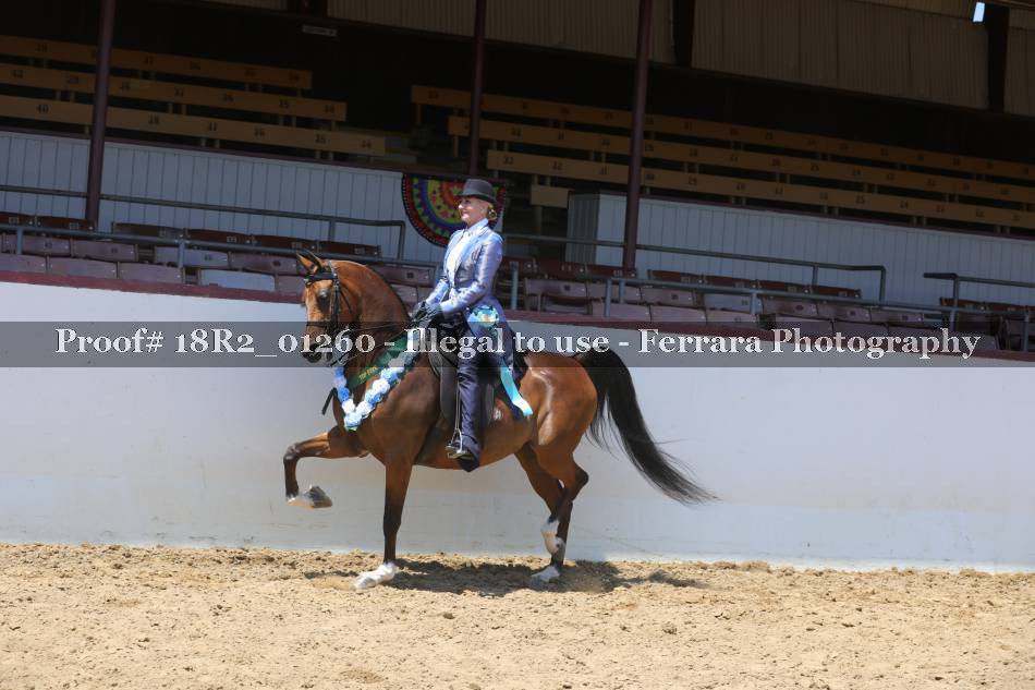 Proof 18R2_01260